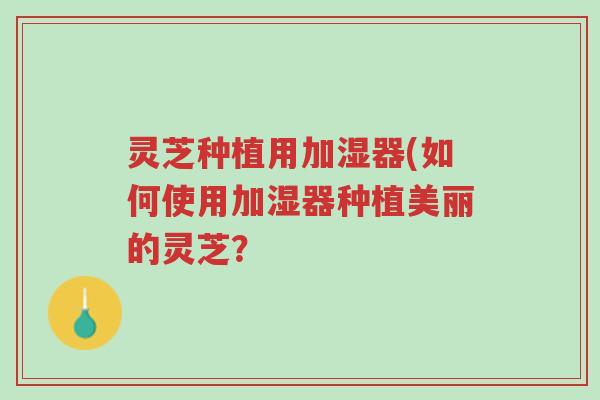 灵芝种植用加湿器(如何使用加湿器种植美丽的灵芝?-第1张图片-超越 灵芝种植用加湿器(如何使用加湿器种植美丽的灵芝?-第1张图片-超越