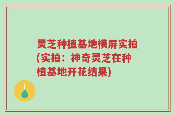 灵芝种植基地横屏实拍(实拍:神奇灵芝在种植基地开花结果)-第1张图片-超越 灵芝种植基地横屏实拍(实拍:神奇灵芝在种植基地开花结果)-第1张图片-超越