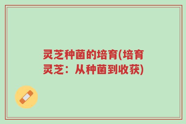 灵芝种菌的培育(培育灵芝:从种菌到收获)-第1张图片-超越 灵芝种菌的培育(培育灵芝:从种菌到收获)-第1张图片-超越