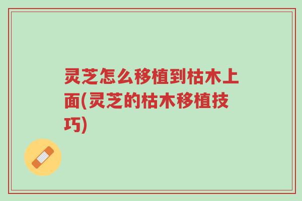 灵芝怎么移植到枯木上面(灵芝的枯木移植技巧)-第1张图片-超越 灵芝怎么移植到枯木上面(灵芝的枯木移植技巧)-第1张图片-超越