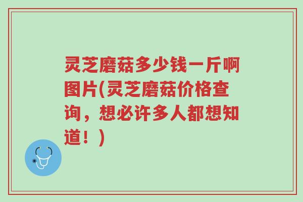 灵芝磨菇多少钱一斤啊图片(灵芝磨菇价格查询，想必许多人都想知道！)-第1张图片-超越