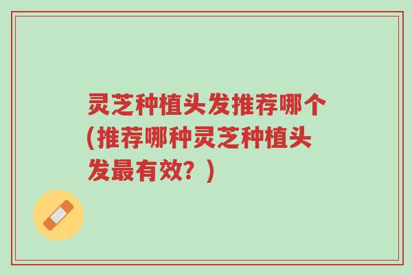 灵芝种植头发推荐哪个(推荐哪种灵芝种植头发最有效？)-第1张图片-超越