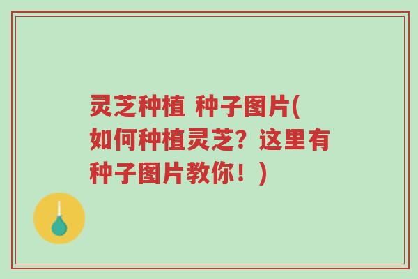 灵芝种植 种子图片(如何种植灵芝?这里有种子图片教你!)-第1张图片-超越 灵芝种植 种子图片(如何种植灵芝?这里有种子图片教你!)-第1张图片-超越