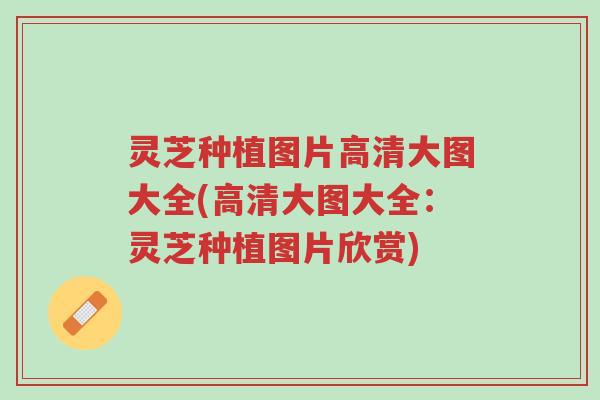 灵芝种植图片高清大图大全(高清大图大全:灵芝种植图片欣赏)-第1张图片-超越 灵芝种植图片高清大图大全(高清大图大全:灵芝种植图片欣赏)-第1张图片-超越