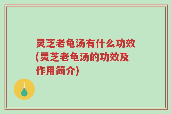 灵芝老龟汤有什么功效(灵芝老龟汤的功效及作用简介)-第1张图片-超越 灵芝老龟汤有什么功效(灵芝老龟汤的功效及作用简介)-第1张图片-超越