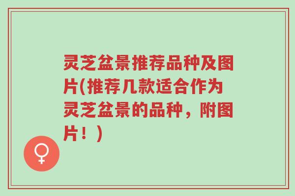 灵芝盆景推荐品种及图片(推荐几款适合作为灵芝盆景的品种,附图片!)-第1张图片-超越 灵芝盆景推荐品种及图片(推荐几款适合作为灵芝盆景的品种,附图片!)-第1张图片-超越