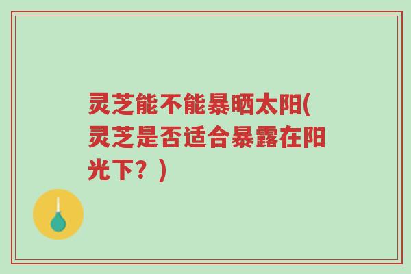 灵芝能不能暴晒太阳(灵芝是否适合暴露在阳光下？)-第1张图片-超越