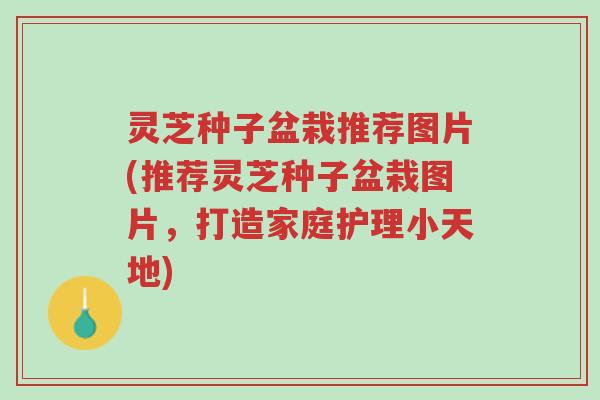 灵芝种子盆栽推荐图片(推荐灵芝种子盆栽图片，打造家庭护理小天地)-第1张图片-超越