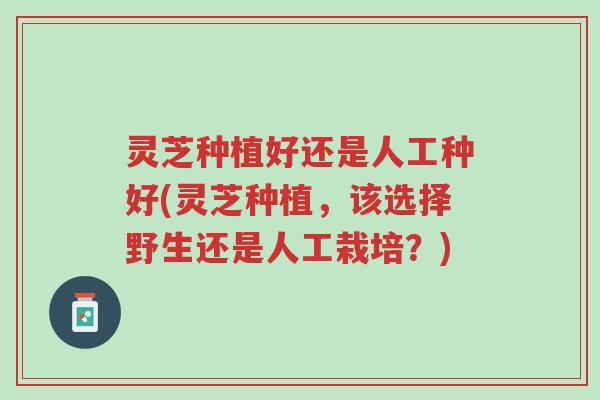 灵芝种植好还是人工种好(灵芝种植,该选择野生还是人工栽培?)-第1张图片-超越 灵芝种植好还是人工种好(灵芝种植,该选择野生还是人工栽培?)-第1张图片-超越