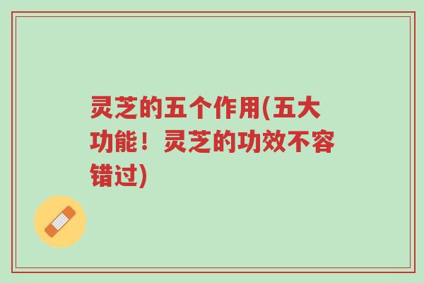 灵芝的五个作用(五大功能!灵芝的功效不容错过)-第1张图片-超越 灵芝的五个作用(五大功能!灵芝的功效不容错过)-第1张图片-超越