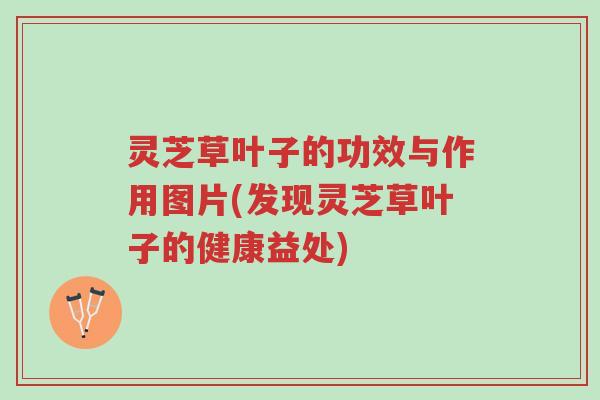 灵芝草叶子的功效与作用图片(发现灵芝草叶子的健康益处)-第1张图片-超越
