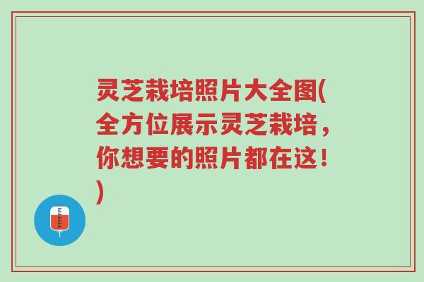 灵芝栽培照片大全图(全方位展示灵芝栽培,你想要的照片都在这!)-第1张图片-超越 灵芝栽培照片大全图(全方位展示灵芝栽培,你想要的照片都在这!)-第1张图片-超越
