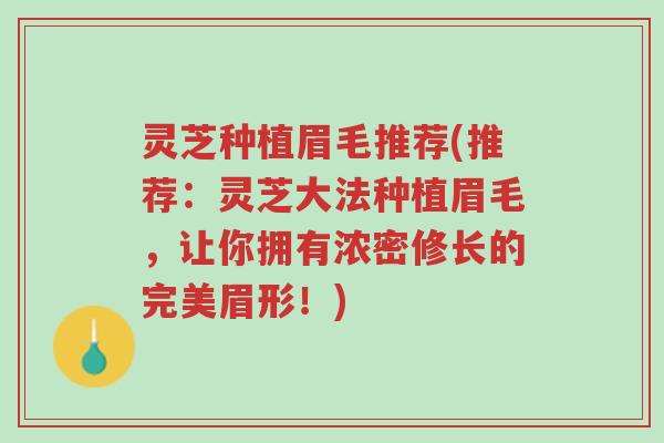 灵芝种植眉毛推荐(推荐:灵芝大法种植眉毛,让你拥有浓密修长的完美眉形!)-第1张图片-超越 灵芝种植眉毛推荐(推荐:灵芝大法种植眉毛,让你拥有浓密修长的完美眉形!)-第1张图片-超越