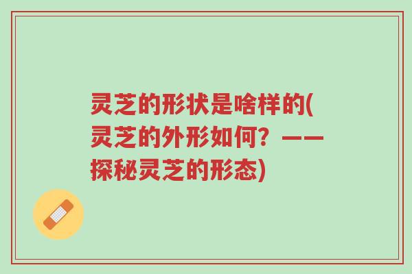 灵芝的形状是啥样的(灵芝的外形如何?——探秘灵芝的形态)-第1张图片-超越 灵芝的形状是啥样的(灵芝的外形如何?——探秘灵芝的形态)-第1张图片-超越