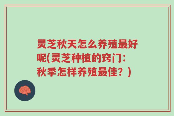 灵芝秋天怎么养殖最好呢(灵芝种植的窍门:秋季怎样养殖最佳?)-第1张图片-超越 灵芝秋天怎么养殖最好呢(灵芝种植的窍门:秋季怎样养殖最佳?)-第1张图片-超越