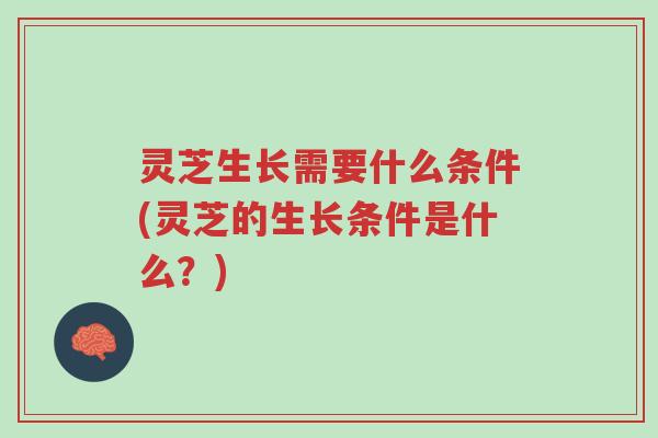 灵芝生长需要什么条件(灵芝的生长条件是什么?)-第1张图片-超越 灵芝生长需要什么条件(灵芝的生长条件是什么?)-第1张图片-超越