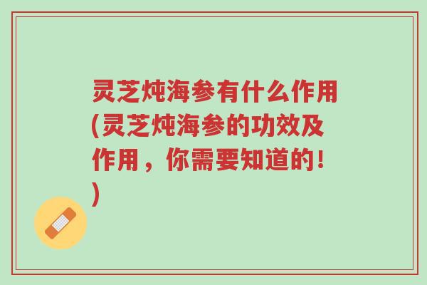 灵芝炖海参有什么作用(灵芝炖海参的功效及作用,你需要知道的!)-第1张图片-超越 灵芝炖海参有什么作用(灵芝炖海参的功效及作用,你需要知道的!)-第1张图片-超越