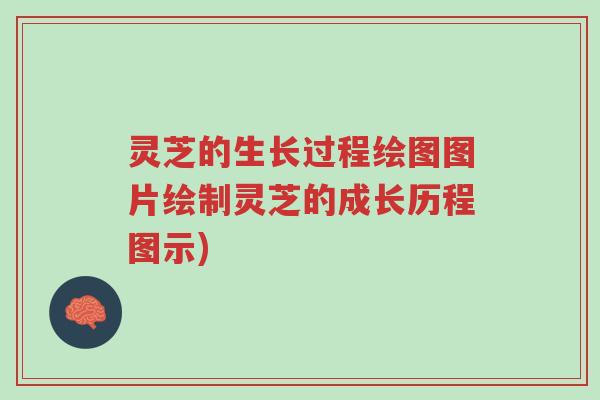 灵芝的生长过程绘图图片绘制灵芝的成长历程图示)-第1张图片-超越
