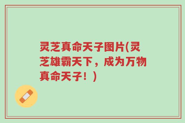 灵芝真命天子图片(灵芝雄霸天下,成为万物真命天子!)-第1张图片-超越 灵芝真命天子图片(灵芝雄霸天下,成为万物真命天子!)-第1张图片-超越