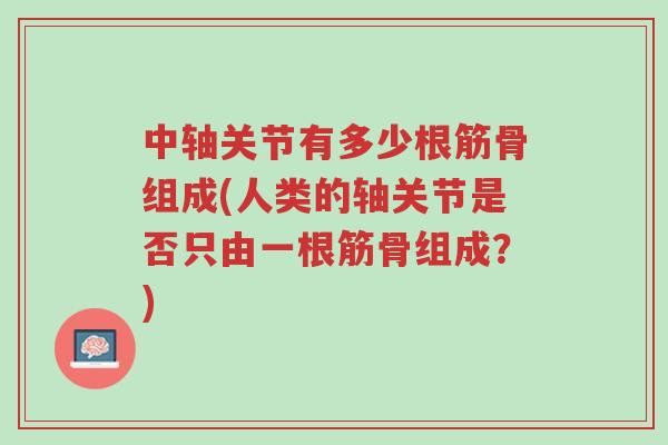 中轴关节有多少根筋骨组成(人类的轴关节是否只由一根筋骨组成?)-第1张图片-超越 中轴关节有多少根筋骨组成(人类的轴关节是否只由一根筋骨组成?)-第1张图片-超越
