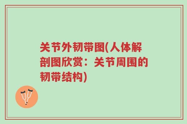 关节外韧带图(人体解剖图欣赏:关节周围的韧带结构)-第1张图片-超越 关节外韧带图(人体解剖图欣赏:关节周围的韧带结构)-第1张图片-超越