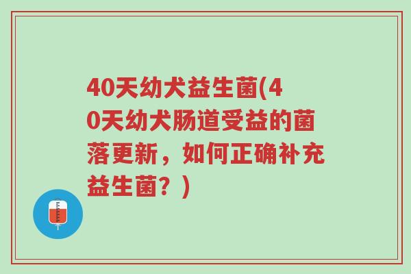 40天幼犬益生菌(40天幼犬肠道受益的菌落更新,如何正确补充益生菌?)-第1张图片-超越 40天幼犬益生菌(40天幼犬肠道受益的菌落更新,如何正确补充益生菌?)-第1张图片-超越