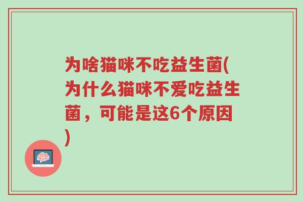 为啥猫咪不吃益生菌(为什么猫咪不爱吃益生菌,可能是这6个原因)-第1张图片-超越 为啥猫咪不吃益生菌(为什么猫咪不爱吃益生菌,可能是这6个原因)-第1张图片-超越