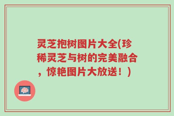 灵芝抱树图片大全(珍稀灵芝与树的完美融合,惊艳图片大放送!)-第1张图片-超越 灵芝抱树图片大全(珍稀灵芝与树的完美融合,惊艳图片大放送!)-第1张图片-超越