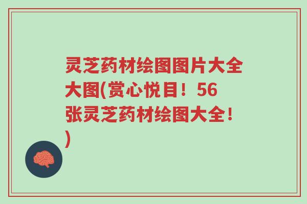 灵芝药材绘图图片大全大图(赏心悦目!56张灵芝药材绘图大全!)-第1张图片-超越 灵芝药材绘图图片大全大图(赏心悦目!56张灵芝药材绘图大全!)-第1张图片-超越