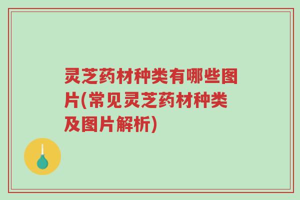 灵芝药材种类有哪些图片(常见灵芝药材种类及图片解析)-第1张图片-超越 灵芝药材种类有哪些图片(常见灵芝药材种类及图片解析)-第1张图片-超越