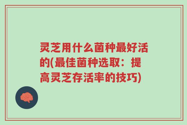 灵芝用什么菌种最好活的(最佳菌种选取:提高灵芝存活率的技巧)-第1张图片-超越 灵芝用什么菌种最好活的(最佳菌种选取:提高灵芝存活率的技巧)-第1张图片-超越