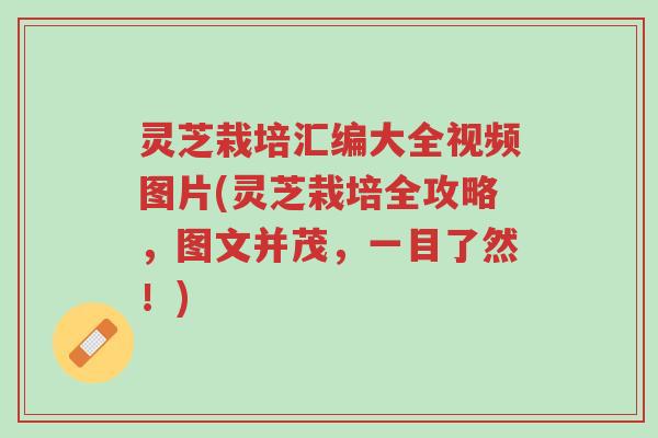 灵芝栽培汇编大全视频图片(灵芝栽培全攻略，图文并茂，一目了然！)-第1张图片-超越