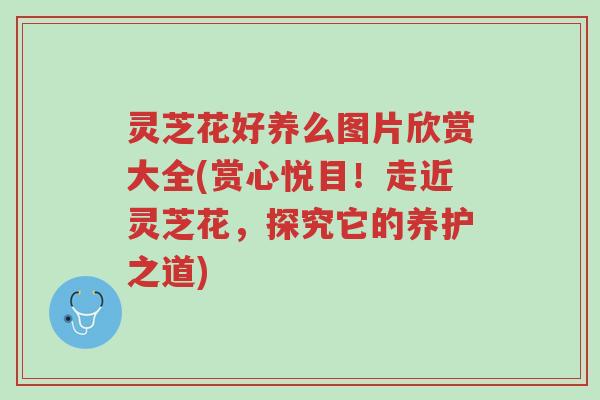 灵芝花好养么图片欣赏大全(赏心悦目!走近灵芝花,探究它的养护之道)-第1张图片-超越 灵芝花好养么图片欣赏大全(赏心悦目!走近灵芝花,探究它的养护之道)-第1张图片-超越