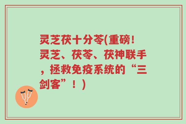 灵芝茯十分苓(重磅!灵芝、茯苓、茯神联手,拯救免疫系统的“三剑客”!)-第1张图片-超越 灵芝茯十分苓(重磅!灵芝、茯苓、茯神联手,拯救免疫系统的“三剑客”!)-第1张图片-超越
