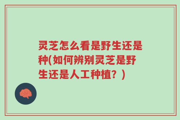 灵芝怎么看是野生还是种(如何辨别灵芝是野生还是人工种植?)-第1张图片-超越 灵芝怎么看是野生还是种(如何辨别灵芝是野生还是人工种植?)-第1张图片-超越