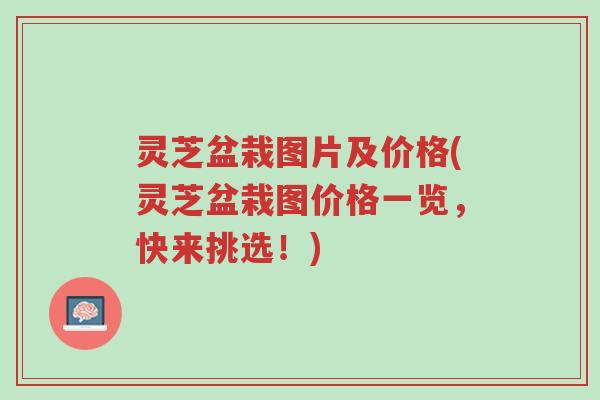 灵芝盆栽图片及价格(灵芝盆栽图价格一览,快来挑选!)-第1张图片-超越 灵芝盆栽图片及价格(灵芝盆栽图价格一览,快来挑选!)-第1张图片-超越