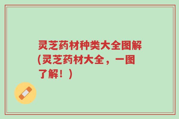 灵芝药材种类大全图解(灵芝药材大全,一图了解!)-第1张图片-超越 灵芝药材种类大全图解(灵芝药材大全,一图了解!)-第1张图片-超越