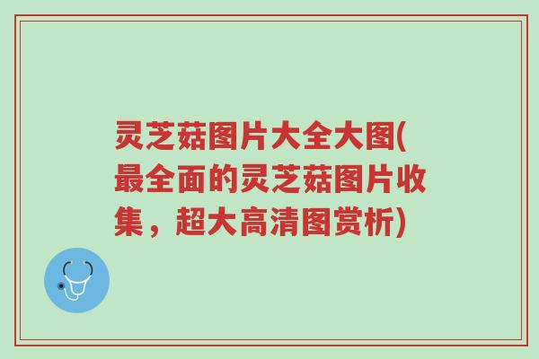 灵芝菇图片大全大图(最全面的灵芝菇图片收集,超大高清图赏析)-第1张图片-超越 灵芝菇图片大全大图(最全面的灵芝菇图片收集,超大高清图赏析)-第1张图片-超越