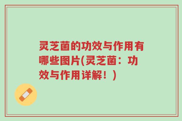 灵芝菌的功效与作用有哪些图片(灵芝菌:功效与作用详解!)-第1张图片-超越 灵芝菌的功效与作用有哪些图片(灵芝菌:功效与作用详解!)-第1张图片-超越