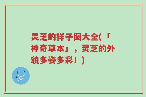 灵芝的样子图大全(「神奇草本」，灵芝的外貌多姿多彩！)-第1张图片-超越