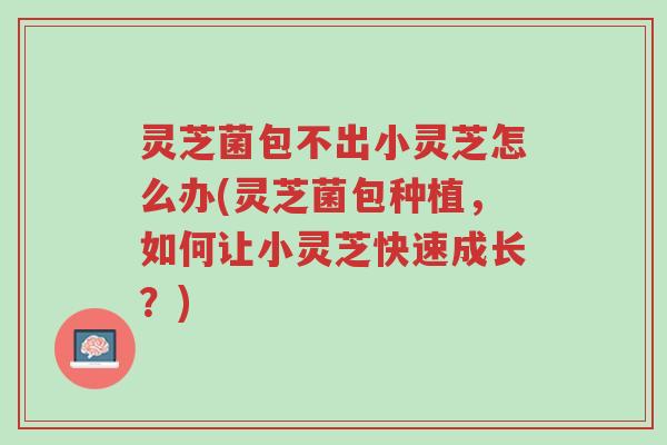 灵芝菌包不出小灵芝怎么办(灵芝菌包种植,如何让小灵芝快速成长?)-第1张图片-超越 灵芝菌包不出小灵芝怎么办(灵芝菌包种植,如何让小灵芝快速成长?)-第1张图片-超越