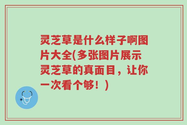 灵芝草是什么样子啊图片大全(多张图片展示灵芝草的真面目,让你一次看个够!)-第1张图片-超越 灵芝草是什么样子啊图片大全(多张图片展示灵芝草的真面目,让你一次看个够!)-第1张图片-超越