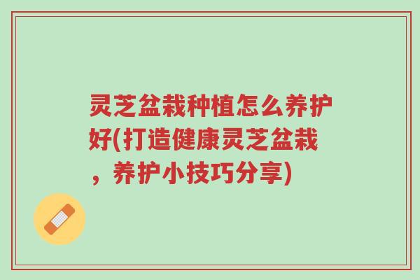 灵芝盆栽种植怎么养护好(打造健康灵芝盆栽，养护小技巧分享)-第1张图片-超越