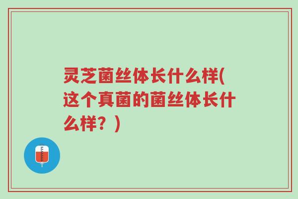 灵芝菌丝体长什么样(这个真菌的菌丝体长什么样?)-第1张图片-超越 灵芝菌丝体长什么样(这个真菌的菌丝体长什么样?)-第1张图片-超越