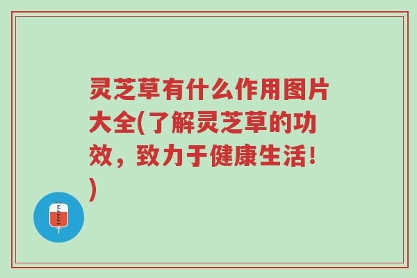 灵芝草有什么作用图片大全(了解灵芝草的功效,致力于健康生活!)-第1张图片-超越 灵芝草有什么作用图片大全(了解灵芝草的功效,致力于健康生活!)-第1张图片-超越