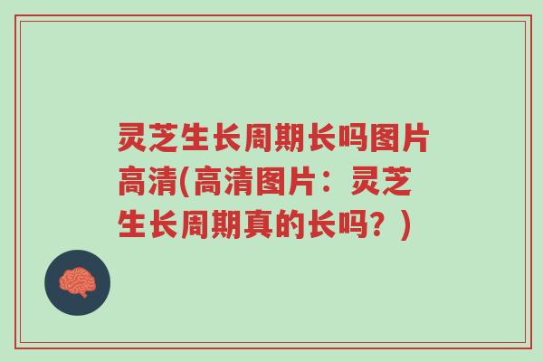 灵芝生长周期长吗图片高清(高清图片:灵芝生长周期真的长吗?)-第1张图片-超越 灵芝生长周期长吗图片高清(高清图片:灵芝生长周期真的长吗?)-第1张图片-超越