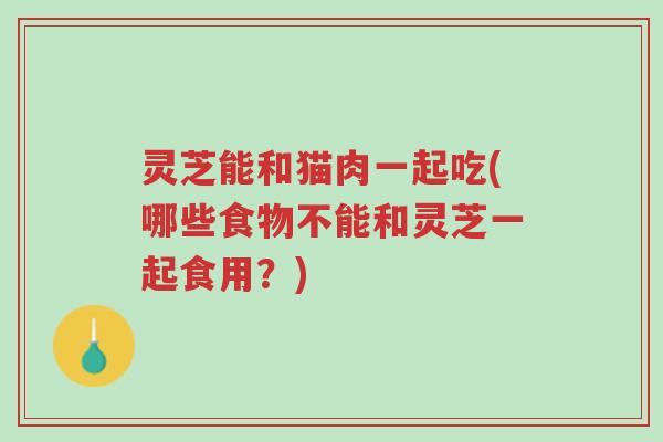 灵芝能和猫肉一起吃(哪些食物不能和灵芝一起食用?)-第1张图片-超越 灵芝能和猫肉一起吃(哪些食物不能和灵芝一起食用?)-第1张图片-超越