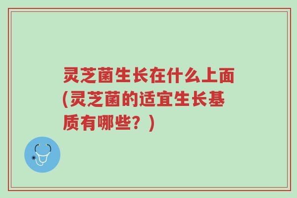 灵芝菌生长在什么上面(灵芝菌的适宜生长基质有哪些?)-第1张图片-超越 灵芝菌生长在什么上面(灵芝菌的适宜生长基质有哪些?)-第1张图片-超越