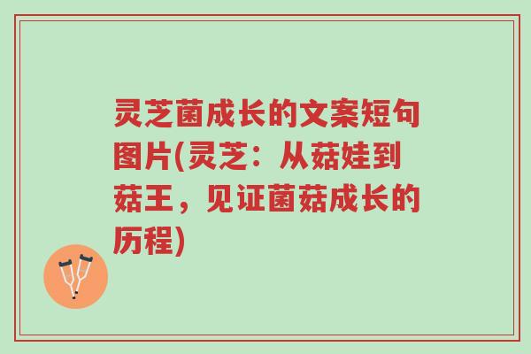 灵芝菌成长的文案短句图片(灵芝：从菇娃到菇王，见证菌菇成长的历程)-第1张图片-超越