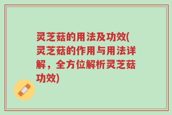 灵芝菇的用法及功效(灵芝菇的作用与用法详解,全方位解析灵芝菇功效)-第1张图片-超越 灵芝菇的用法及功效(灵芝菇的作用与用法详解,全方位解析灵芝菇功效)-第1张图片-超越